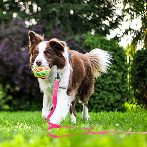 Wolfone Guinzaglio per cani da addestramento