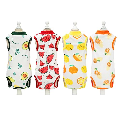 Roupas para gatos, animais de estimação após cirurgia, colete para gatos, estilo fruta, tecido de re