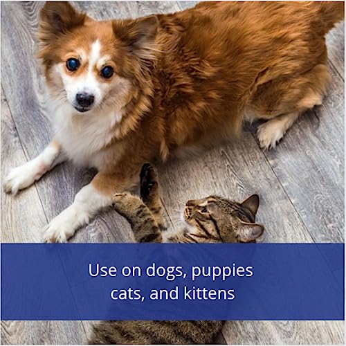 Farnam 100504542 Flys-Off Insect Repellent For Dogs And Cats 6 Fluid Ounces thumb #3