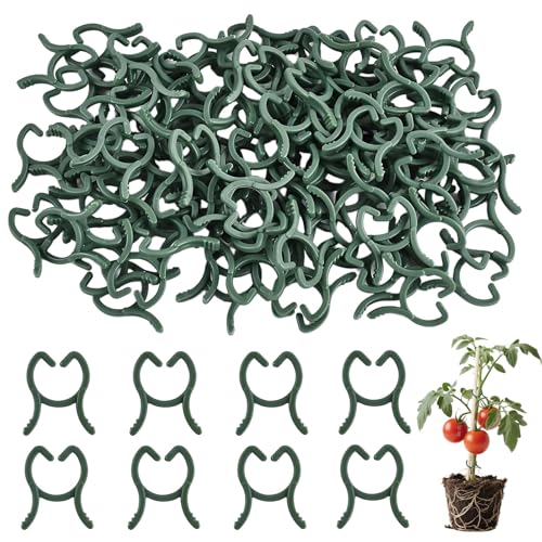 Hongoen 100 Stück Klein Pflanzenclips Grün, Pflanzenclips,Pflanzen Clips,Pflanzen Klammern,Pflanzenclips Für kletterpflanzen,Tonkinklammern,Stabile Klammern Für Kletterpflanzen Befestigung