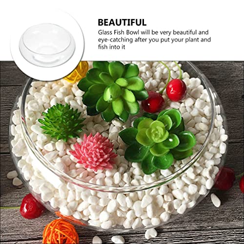Image of BESPORTBLE Clear Fish Bowl Vase Bubble Bowl Wide Mouth Flower Vase Round Shallow Planter Terrarium Aquatic Plant Pot Daffodil Pot Hydroponic Planter Fish Tank Bowl