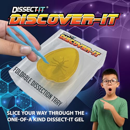 Image of Discover-It Ancient Amber, Science Lab Kit, STEM Toys for Kids, Ages 5+ | Hidden Insect: Open synthetic amber to discover a preserved toy insect while learning about ancient life and STEM