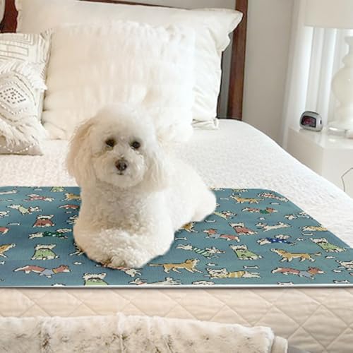 Coussin de refroidissement pour chien : évitez le coup de chaud avec la soie glacée