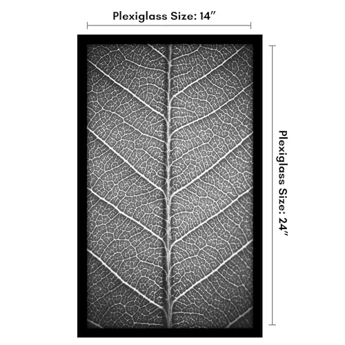 Americanflat 14x24 Poster Frame with Polished Plexiglass - Black Picture Frame - Wide Photo Frames Made of Engineered Wood for Vertical or Horizontal Wall Display - Epic Collection - Black