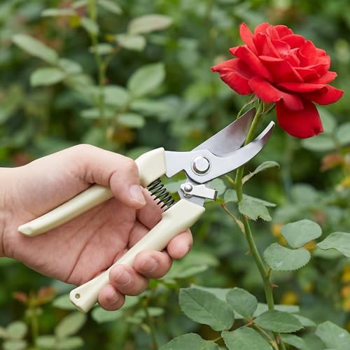 Tijeras de podar rectas para jardín 1pc miniatura 1