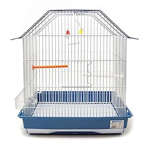 BPS Jaula Pájaros para Pajarera Periquito Canarios Metal Grande con Comedero Bebedero Columpio Saltador Cubeta Color al Azar BPS-1168