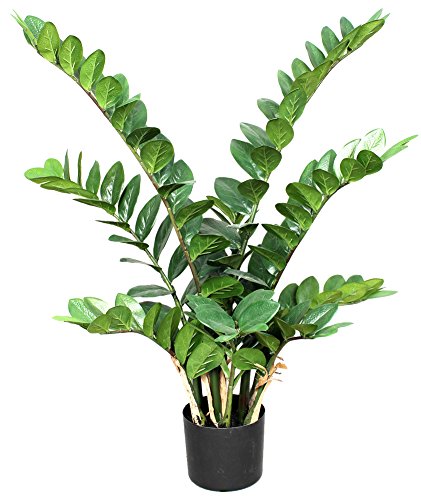 NewGreen Zamioculcas Verde - Planta artificial de decoración interior - Altura 90 cm