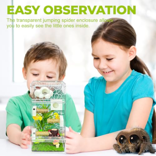 Image of Jumping Spider Enclosure,DIY Insects Habitat,Small Reptile Terrarium Glass House Accessories Set,with Jumping Platform Hide Climbing Net(Green 2)
