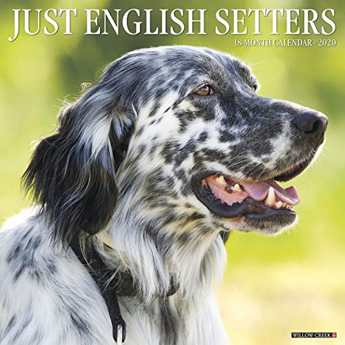 Télécharger Just English Setters 2020 Calendar Francais PDF