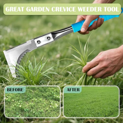 Herramienta manual de jardinería para malezas 11.42 pulg miniatura 6