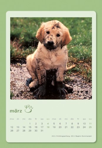 Tierbabys Kuvert 2012