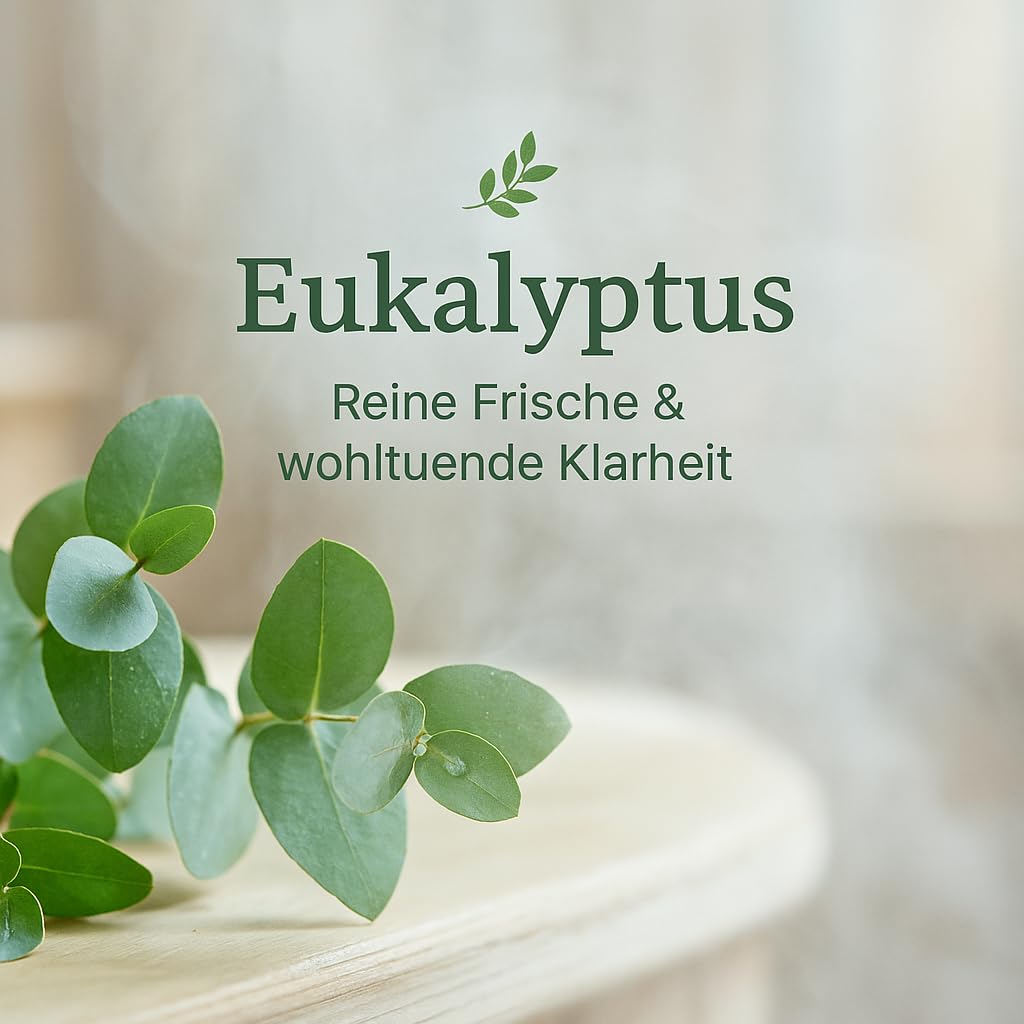 Dufte Momente Dampfbad Duftkonzentrat Eukalyptus 500ml – klarer Wellnessduft mit naturreinem ätherischem Eukalyptusöl – für Dampfbäder, Verdampferanlagen & Dampfduschen – vegan, Made in Germany