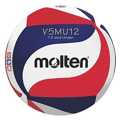 Spalding Tf-Vb3 Top Flite Leather Volleyball, White