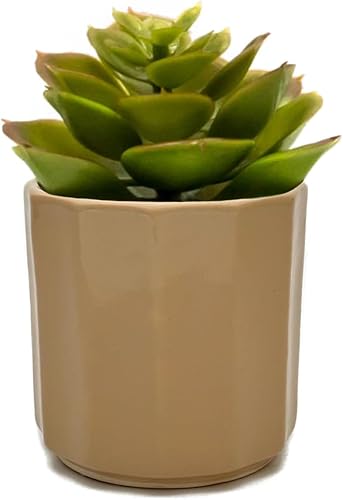 Perilla Home Maceta individual de cerámica hecha a mano para interiores y exteriores con orificio de drenaje para decoración del hogar y la oficina,