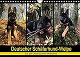 schäferhund welpen PERFEKTES GESCHENK - Unsere Kalender sind als Geschenk für den Freund, die Freundin, den Mann, die Frau, Ehemann und Ehefrau, für den Jahrestag, Geburtstag, den Hochzeitstag, zur Verlobung, zum Einzug, für Kinder und Erwachsene, für frisch Verliebte oder ein altes Ehepaar, für Oma und Opa, für Papa und Mama, für jung und alt geeignet.