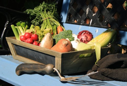 Corbeille bois vieilli et ardoise CMA3140 35x25x9cm Cover