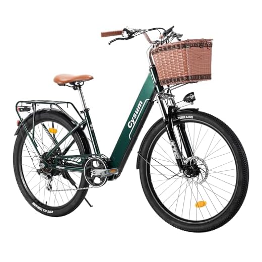 Antgooat Cityrun Vélo Électrique 26 Pouces Vélo Électrique Femme et Homme,Moteur 250W,Batterie 36V/10Ah, 25km/h,Pédalage Assisté,Autonomie 40-80km,et Panier,Adulte Unisexe (Vert)