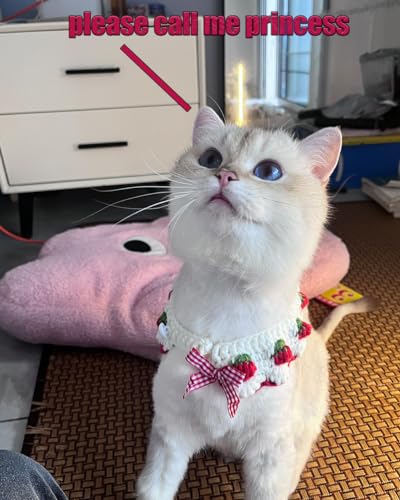 Image of Cute Cat Collar, Breakaway Kitten Handmade Collar with Cute Cat Bowtie and Strawberry Pattern Comfortable for Kitty Some Puppies Accessories