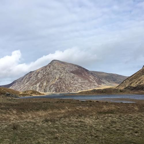 Herr, ein heftiger Streit hat unsere Freundschaft