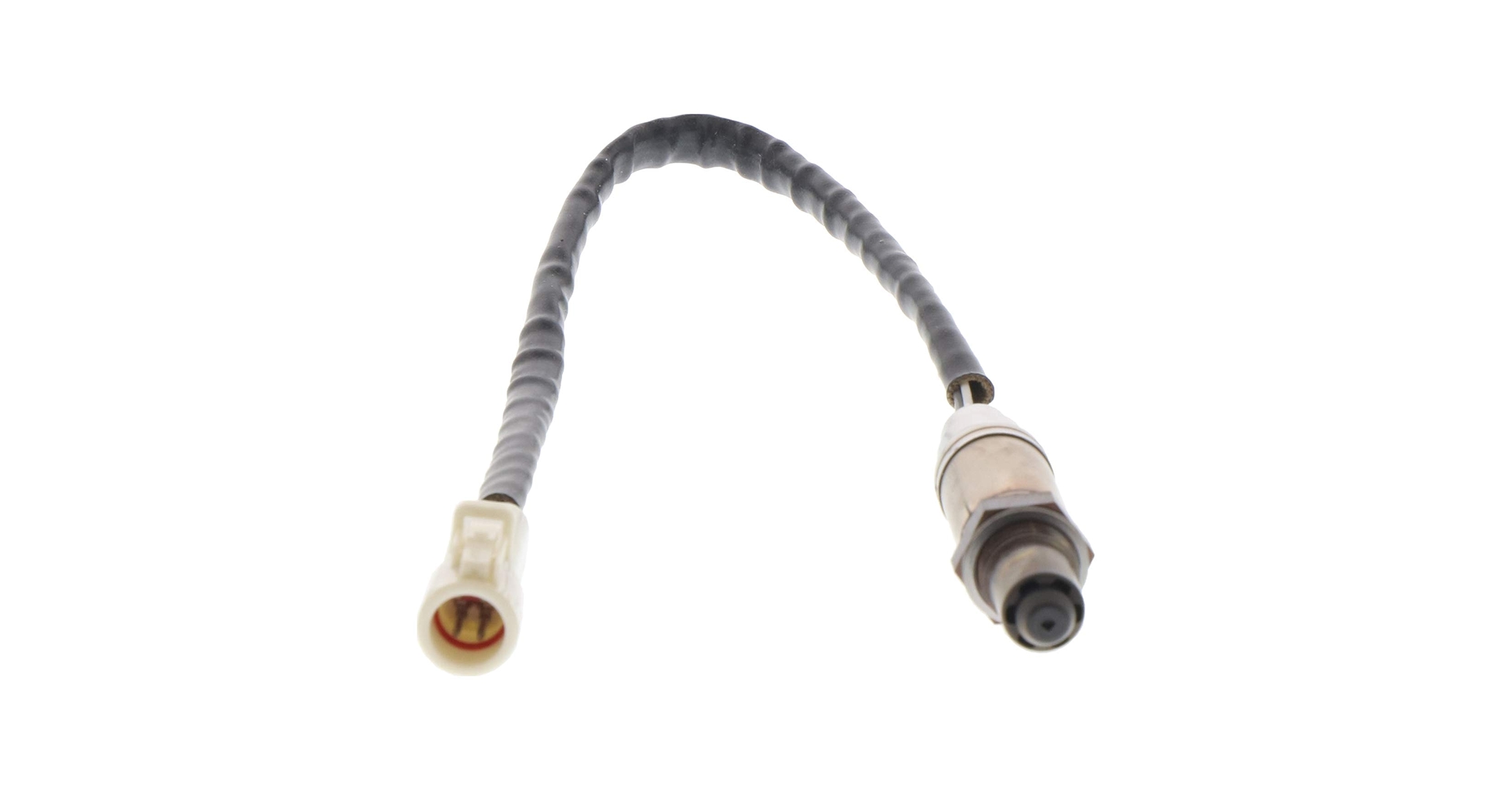 51SJuciJF8L.jpg_BO30,255,255,