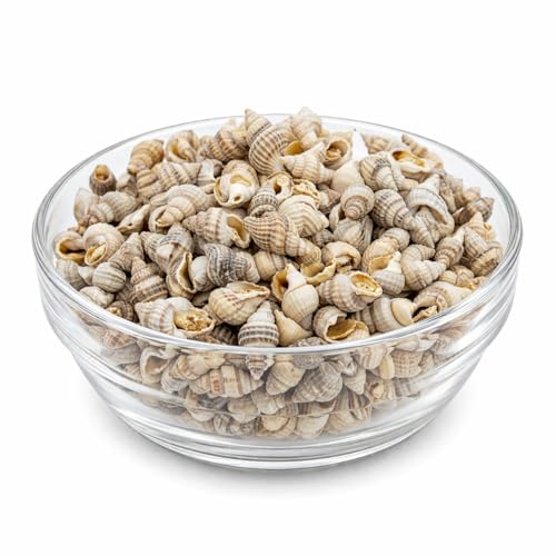 Wildlife FD Blackline - Gefriergetrockenete Sea Snails Futterschnecken, 35 g, (1Er Pack)