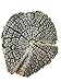 Concrete Texture Stamps And Masonry Forms Tool - Tree Stump Stamp Kit, Perfect Tree Stamps For Making Concrete Trees
