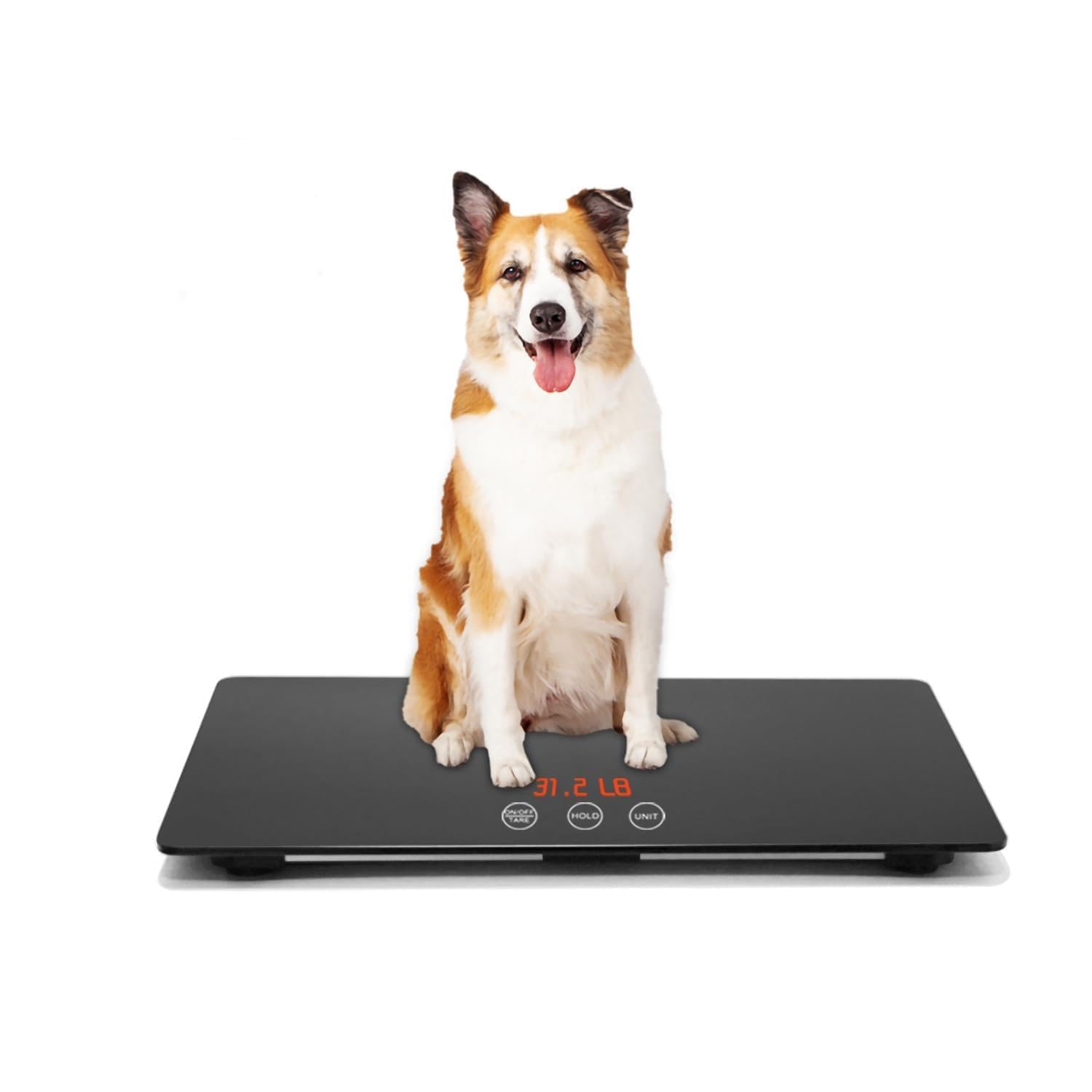 Báscula digital para mascotas para perros, con alfombrilla antideslizante, plataforma de báscula para animales, dimensiones 25,6 x 17,7 pulgadas, peso máximo 220 libras, precisión 10 g, color negro.
