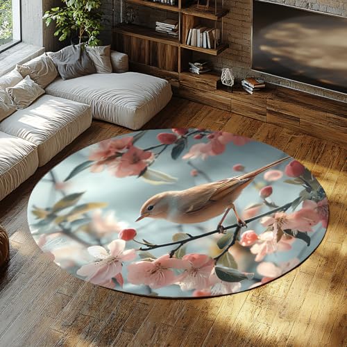 Tapis doux antidérapant mince rond 200cm résistant pour salon