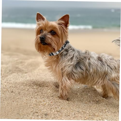 UPKOCH Perlenhalsband für Hunde und Katzen Verstellbares Design Weiches Pu-Material Edle Perlen und Kristall-Details für Kleine Hunderassen und Anlässe