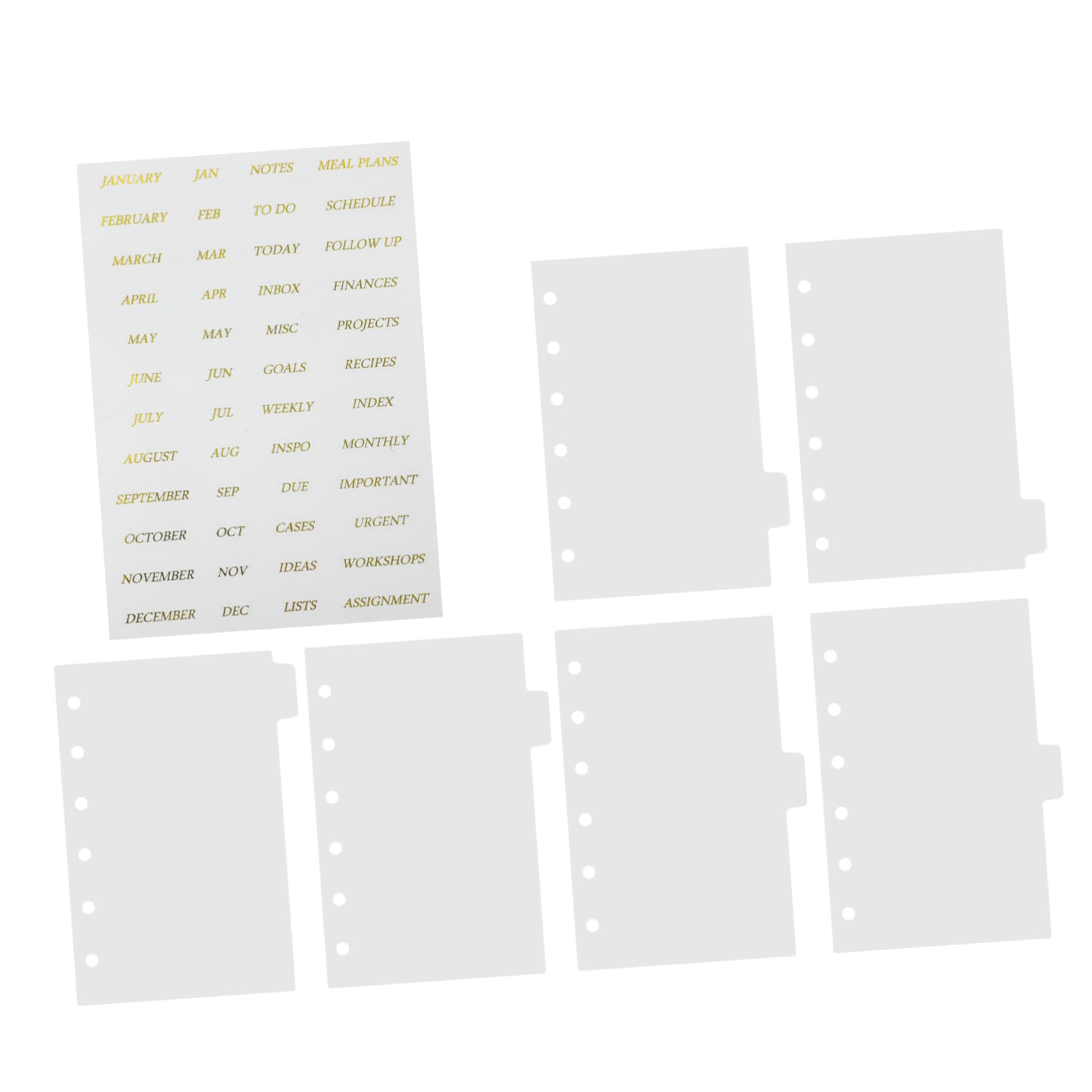 5sets Divisori Per Raccoglitori Trasparenti Con Anelli e Adesivi Dorati Di Pagine Separatrici Per Organizzazione Documenti e Appunti Per Scuola e Lavoro