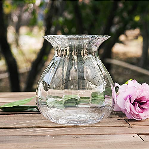 Helderglazen vaas, woonkamer badkamer tafelvaas lelie tulpenvaas container grote fles mondvaas, 15 * 15 * 17cm (kleur: helder) - Afbeelding 5