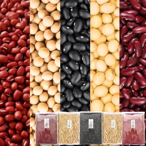 kCY K ߂̎q哤 嗱哤 ܂ӂ哤 吳 5Zbg (e900g) `bNt 