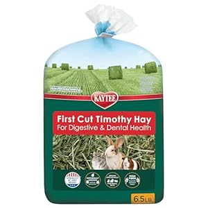 Kaytee 1st Cut Hearty and Crunchy Timothy Hay for Pet Guinea Pigs, Rabbits & Other Small Animals, 6.5 Pound