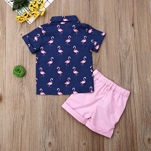image for VISGOGO Toddler Baby Boy Flamingo Short Sleeve Button Down Shirt & Cas