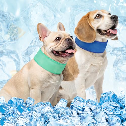 BEAUTYZOO 2 Pack Instant Chill Dog Bandana