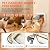 LIBBEPET Cat Door Interior Door, Push & Turn 4-Way Lock Indoor Cat Doors, Reinforced ABS Frame Pet Doors for Cats Up to 18 lbs, Easy DIY Installation for Interior and Exterior Doors, Lagre