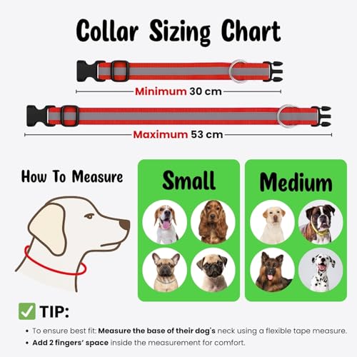 Image of Buraq Pets Reflective Dog Collar Adjustable Nylon with Metal D Ring