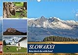 Slowakei - Reise durch das wilde Land (Wandkalender 2019 DIN A3 quer) - Johann Schörkhuber