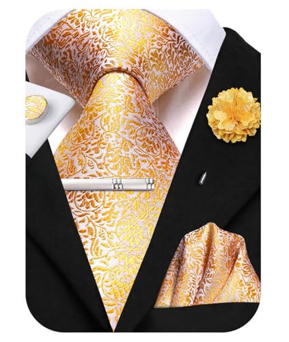 Image of Hi-Tie Mens Paisley Floral Striped Ties Set Silk Necktie and Lapel Pin for Men Pocket Square Cufflinks Set Business Wedding
