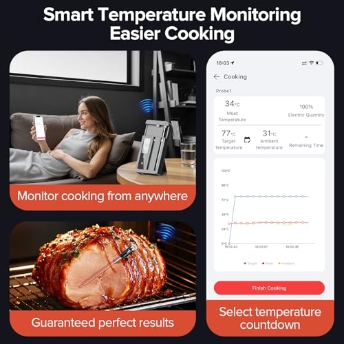Smart Wireless Meat Thermometer BBQ