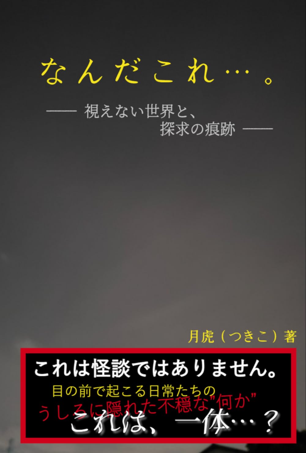 なんだこれ…。: ― 視えない世界と、探求の痕跡 ―