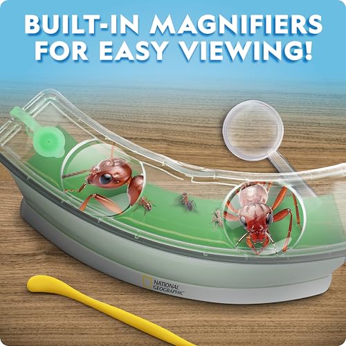 National Geographic Ant Habitat Kit - Light-Up Ant Terrarium with Built-in Magnifiers, Tunnel Starter Tool & More, Ant Activities for Kids, Ant Home, Ant Colony, Ant Habitat, Ant House for Kids - Image 4