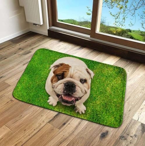 ���փ}�b�g �u���h�b�O�̃z�[���f�R���[�V���� 50×80cm doormat Bulldog Home Decor