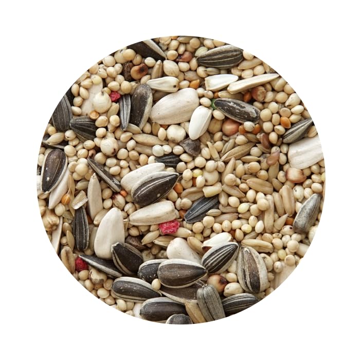 ALIMENTO NINFA AGAPORNI COTORRITAS 20KG PET CUP. Semillas Naturales para Aves
