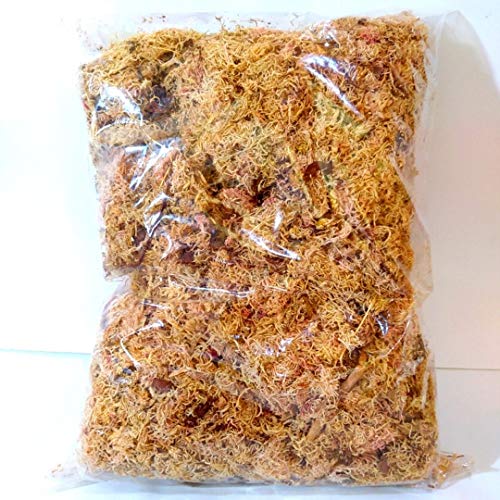 Musgo Sphagnum/Esfagno para Plantas - 100 Gramas