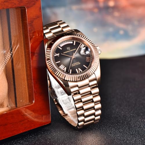 Image of Pagani Design DD40 PD1783 Men's Luxury Automatic AR Sapphire Glass Mechanical Watch Men 10 Bar NH36A Movement
