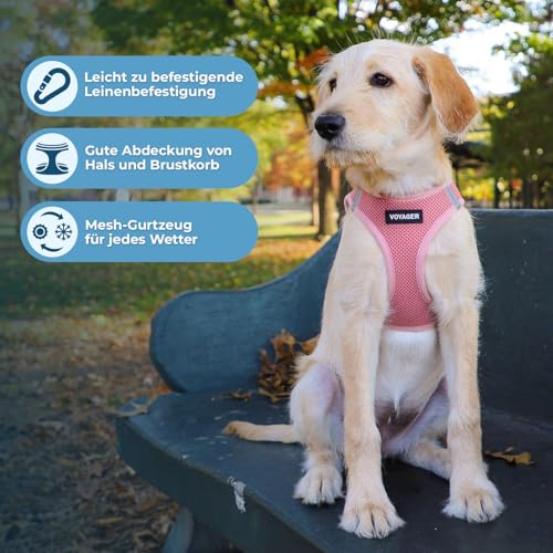 Voyager Step-In Air Hundegeschirr by Best Pet Supplies - All Weather Mesh Step in Vest Harness für kleine und mittlere Hunde, Rosa, size XS - Brust 33-37 cm