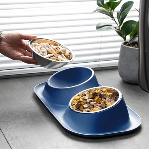 Pfisety  H ybg {E XeX H GTM M X΂ HCy XeXX^ht ~ O\ 􂢂₷ H@Ő􂦂 ^E^p ()