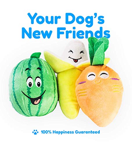 Pacific Pups Products supporting PacificPupRescue.com - 18 Piece Dog Toy Set with Dog Chew Toys, Rope Toys for Dogs, Plush Dog Toys and Dog Treat Dispenser Ball - Supports Non-Profit Dog Rescue