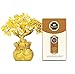 Bwinka Feng Shui Money Tree Office Home Table Feng Shui Decoration Crystal Money Tree for Wealth and Good Luck